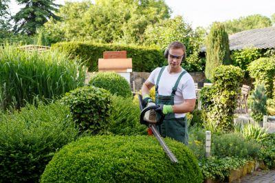 Winter Shrub Trimming