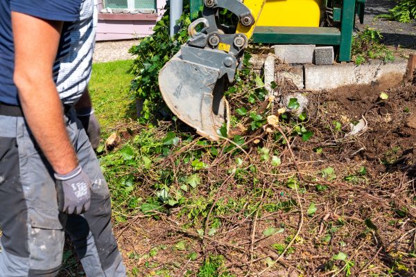 Hedge Removal Service in Huntington Beach
