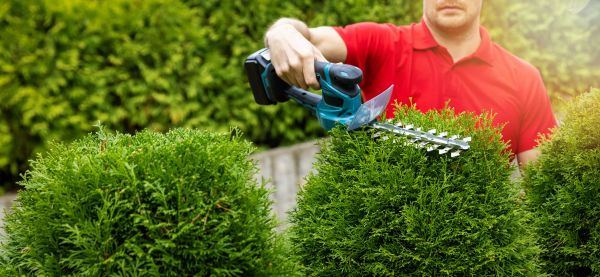 Hedge Shaping Service in Huntington Beach